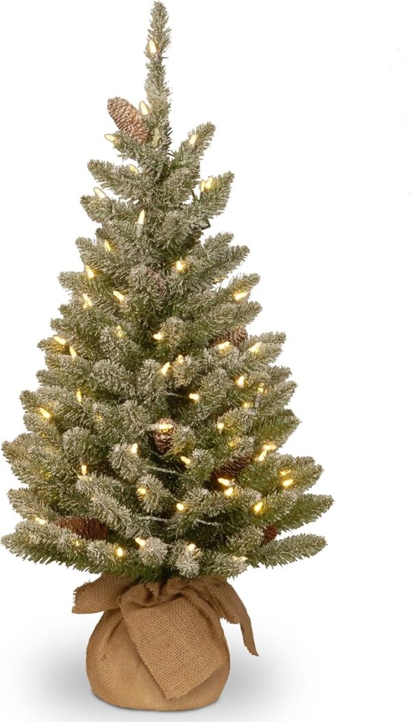 National Tree Company Pre-lit Artificial Mini Christmas Tree